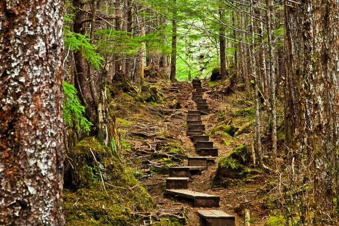 Guided Hike | TONGASS NATIONAL FOREST - Authenticity and Reviews: What Travelers Say
