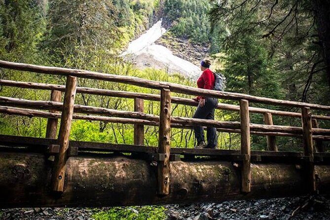Guided Hike | TONGASS NATIONAL FOREST - Final Thoughts: Is This Tour Right for You?