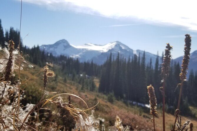 Guided Hiking and Camping Tour - What Previous Travelers Say