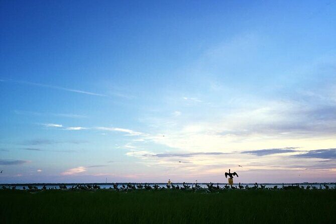 Guided Historical Bus and Boat Cruise Tour in Beaufort - What the Reviews Say About the Experience