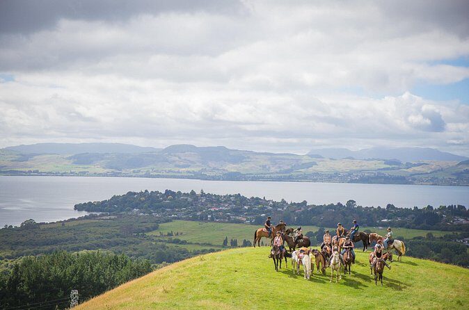 Guided Horse Trekking from Rotorua - A Closer Look at the Experience