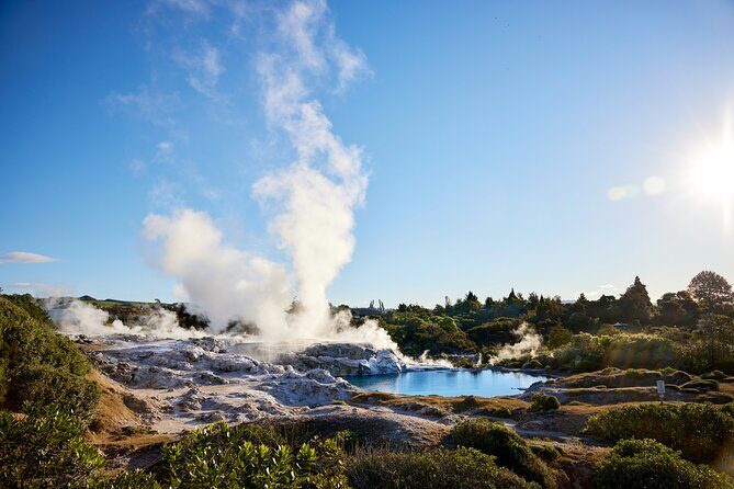 Guided Horse Trekking from Rotorua - What the Reviews Say