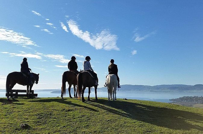 Guided Horse Trekking from Rotorua - Final Thoughts: Is It Worth It?
