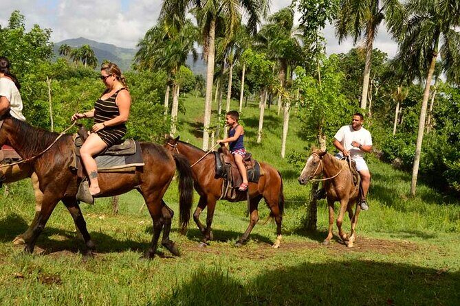 Guided Horseback Ride On The Beach With Pickup From Punta Cana - Key Points