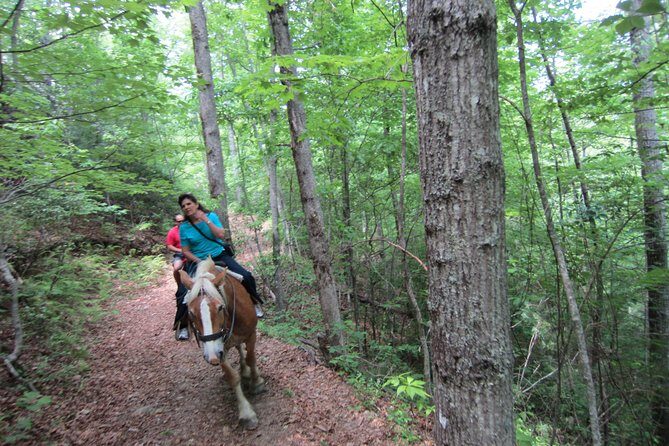 Guided Horseback Ride through Flame Azalea and Fern Forest - Exploring the Trail: What to Expect