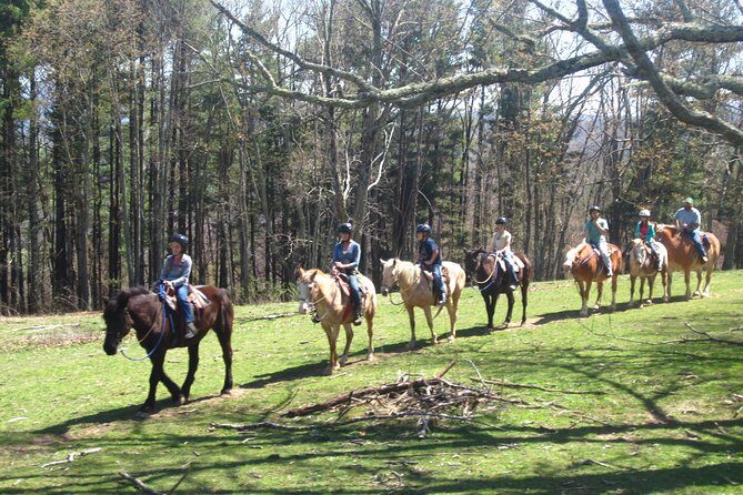 Guided Horseback Ride through Flame Azalea and Fern Forest - Who Will Love This Tour?