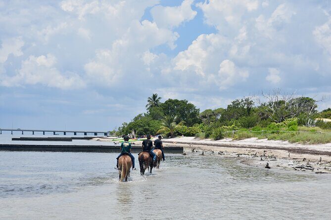 Guided Horseback Riding on The Pristine Waters of Miami Florida - Why This Tour Is a Great Fit