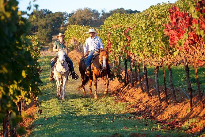 Guided Horseback Tour only 30 mins from Sedona. - What to Expect on this Horseback Tour near Sedona