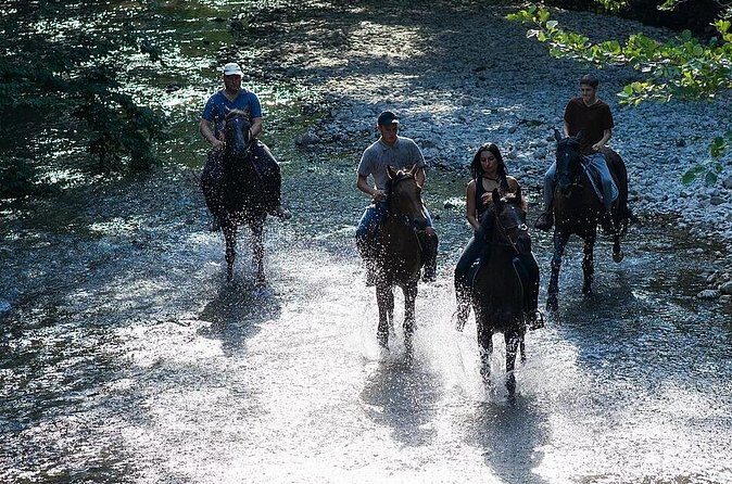 Guided Horseback Tour only 30 mins from Sedona. - FAQs