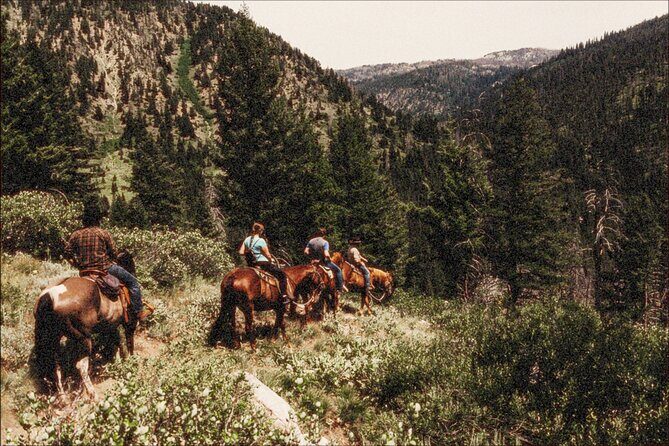 Guided Horseback Trail Rides - Key Points