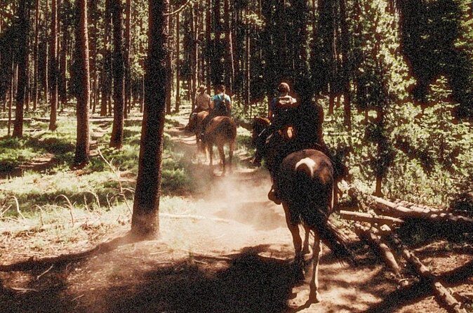 Guided Horseback Trail Rides - Going Beyond the Basics: Why It’s a Good Value