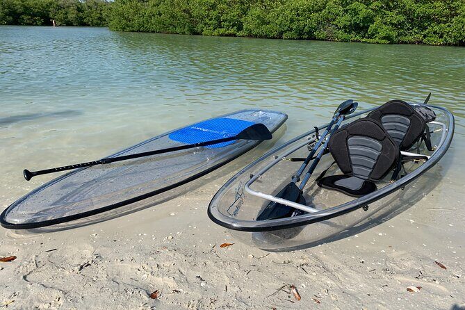 Guided Island EcoTour: CLEAR/Standard Kayak, SUP - Bonita Springs - An In-Depth Look at the Tour Experience