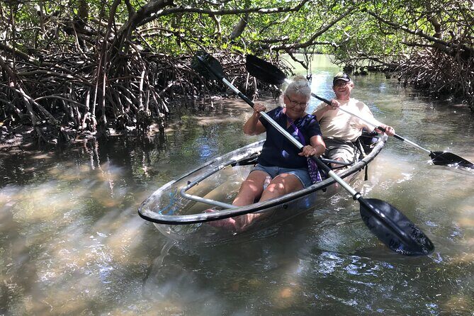 Guided Island EcoTour: CLEAR/Standard Kayak, SUP - Bonita Springs - Practical Tips for Participants