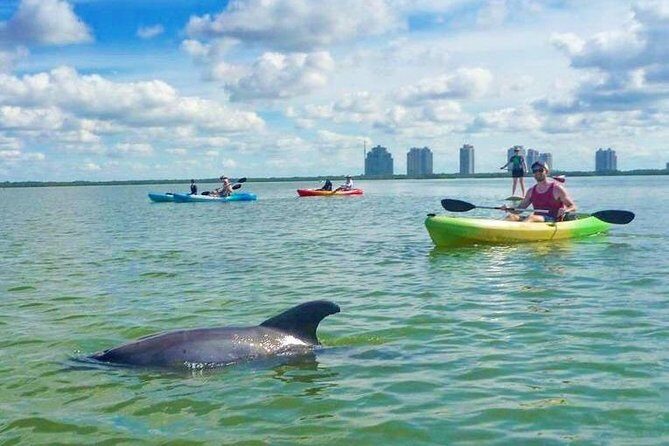 Guided Island EcoTour: CLEAR/Standard Kayak, SUP - Bonita Springs - Final Thoughts
