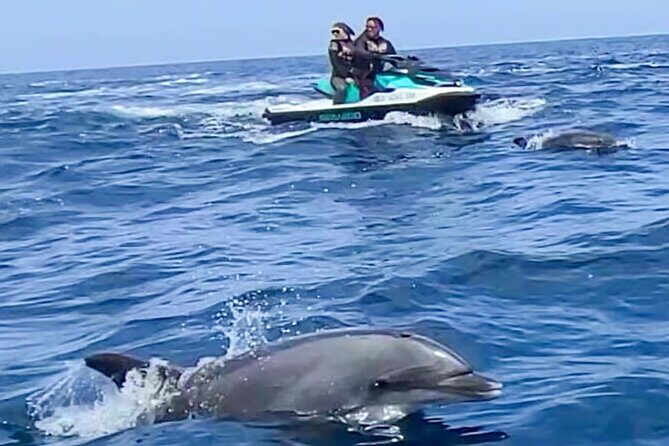 Guided Jet Ski Adventure in Two Harbors Catalina Island - The Itinerary in Detail