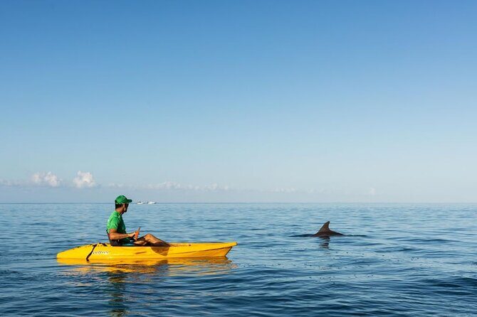 Guided Kayak 2-Hour Activity with Dolphins - Who Should Consider This Tour?