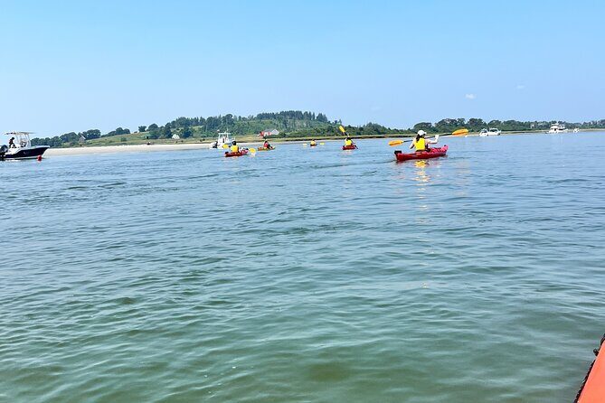 Guided Kayak at the Crane Estate - An Introduction to the Experience