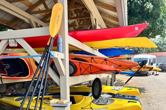Guided Kayak at the Crane Estate - The Value of Included Features