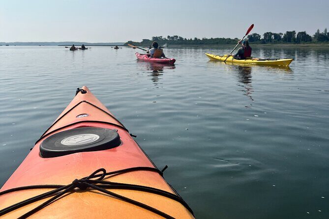 Guided Kayak at the Crane Estate - Authentic Feedback & What Travelers Can Expect