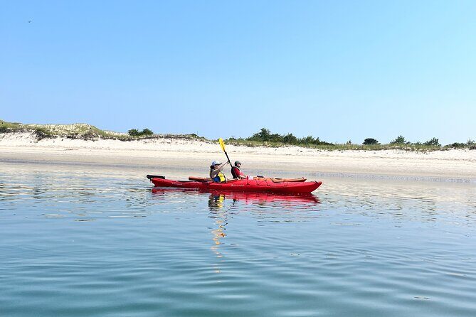 Guided Kayak at the Crane Estate - Who Will Love This Tour?