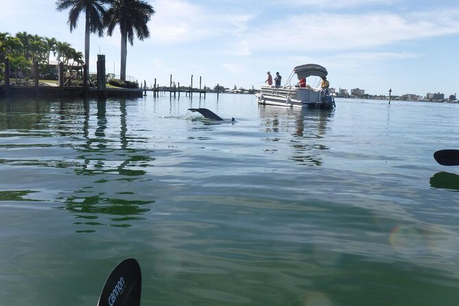 Guided Kayak Eco Tour - Bunche Beach - Why This Tour Offers Good Value