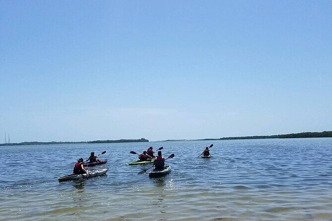 Guided Kayak EcoTour of Beautiful Shell Key Preserve - Overview of the Experience
