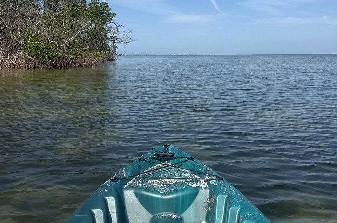 Guided Kayak Experience at EG Simmons Park - Why This Tour Might Be Perfect for You