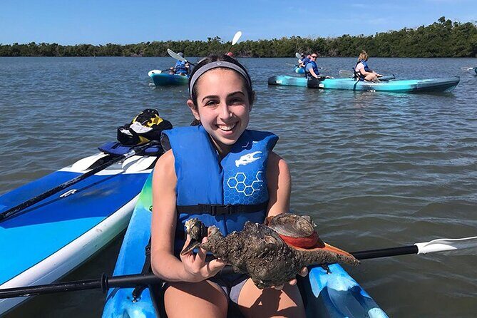 Guided Kayak Mangrove Ecotour in Rookery Bay Reserve, Naples - Practical Tips for a Smooth Experience