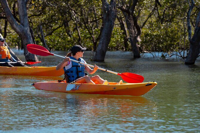 Guided Kayak Tour - Why You Might Love This Kayak Tour