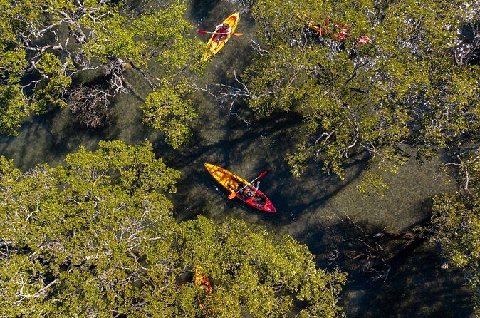 Guided Kayak Tour - Final Thoughts