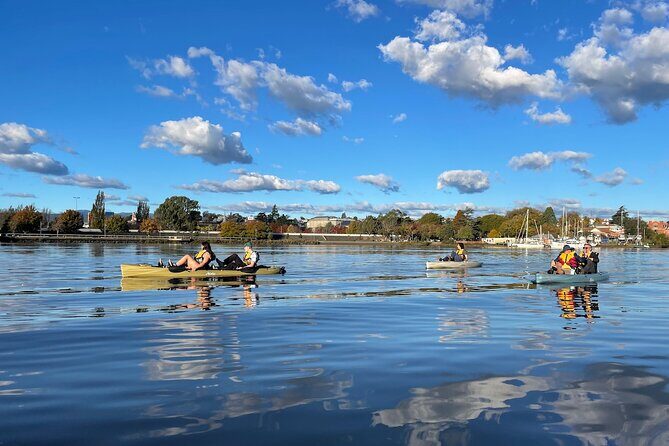 Guided Kayak Tour on Launceston's scenic waterfront on foot powered Hobie kayaks - The Route and Its Highlights