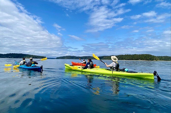 Guided Kayak Tour To Hope Island State Park - Who This Tour Is Perfect For