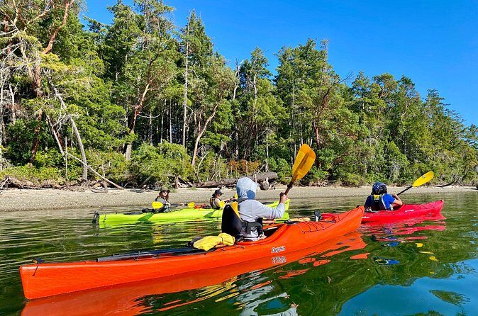 Guided Kayak Tour To Hope Island State Park - The Sum Up: A Worthwhile Experience for Many