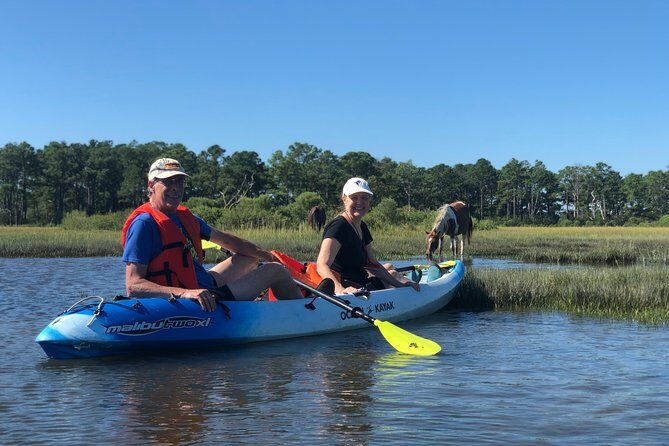 Guided Kayak Tour to see ponies, birds, dolphins and more - An In-Depth Look at the Assateague Wildlife Kayak Tour