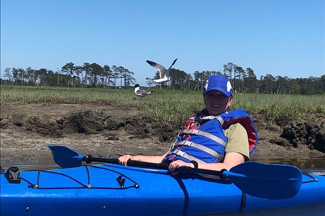 Guided Kayak Tour to see ponies, birds, dolphins and more - FAQ