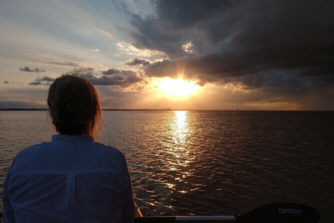 Guided Kayak Tour with Manatee & Dolphin Sightings - An In-Depth Look at the Experience
