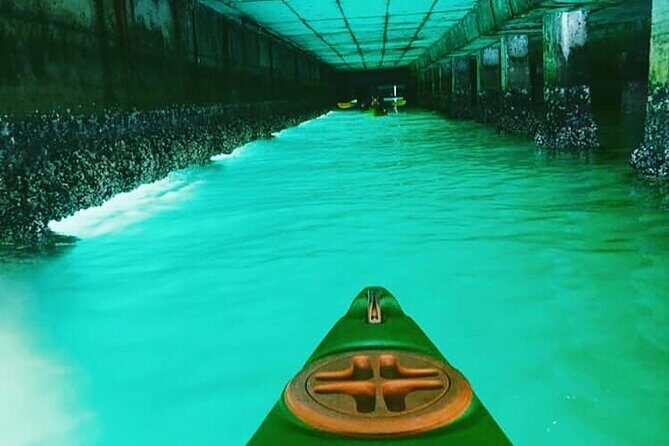 Guided Kayaking in Hout Bay - Who Should Consider This Tour?