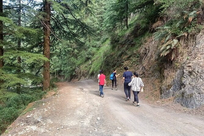 Guided Kora Circuit & Walking Tour Around McLeod Ganj - Logistics & Practical Tips