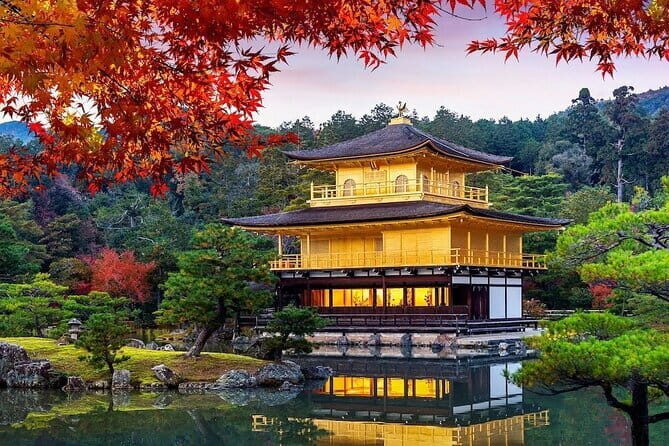 Guided Kyoto City Cherry Blossom One Day Private Tour - Key Points