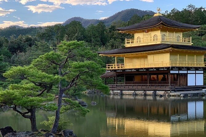 Guided Kyoto City Cherry Blossom One Day Private Tour - The Highlights of the Kyoto Cherry Blossom Private Tour