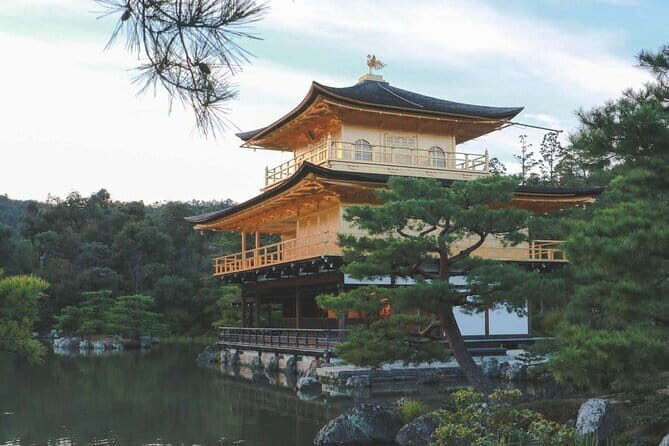 Guided Kyoto City Cherry Blossom One Day Private Tour - Who Would Love This Tour?