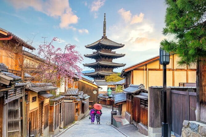 Guided Kyoto City Cherry Blossom One Day Private Tour - Final Thoughts