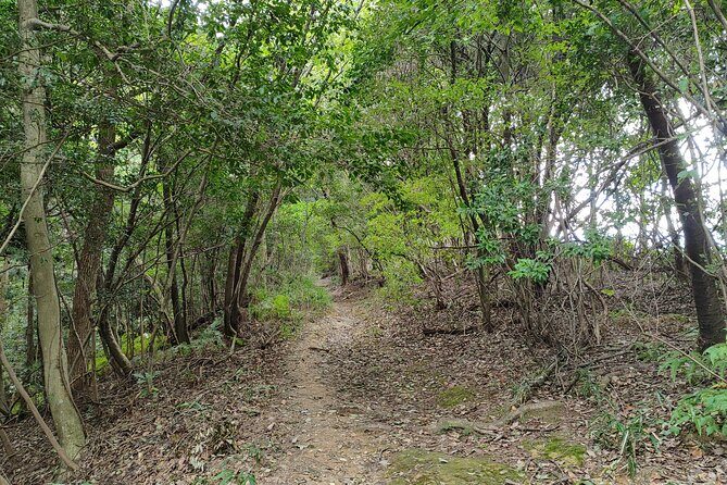 Guided Kyoto Trail Higashiyama Fushimi Inari To Kiyomizudera - The Value of a Guided Nature and Cultural Walk