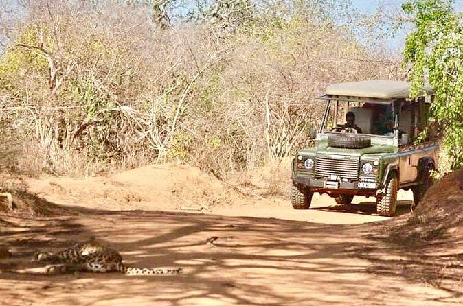 Guided Leopard Safari in Yala National Park in a Land Rover Defender - The Itinerary Breakdown