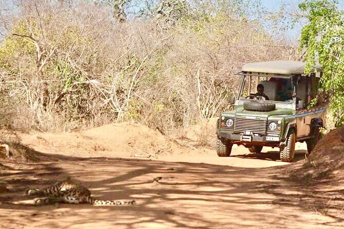 Guided Leopard Safari in Yala National Park in a Land Rover Defender - Why Choose This Safari?