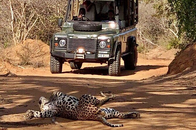 Guided Leopard Safari in Yala National Park in a Land Rover Defender - Final Thoughts