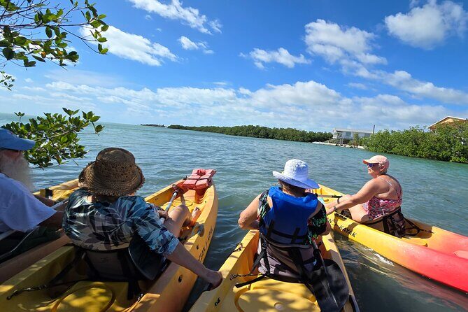 Guided Mangrove Eco Tours Kayak or Paddleboard Adventure - Why This Tour Is Worth Considering