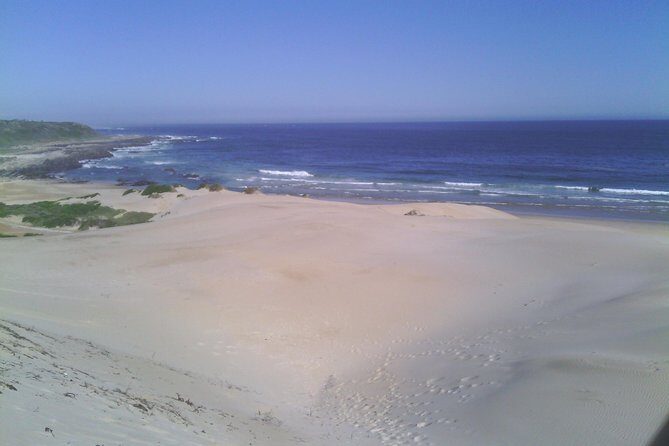 Guided Marine Walk: Sardinia Bay (Marine Protected Area) - 1 & Half Hour - What Is the Guided Marine Walk at Sardinia Bay?