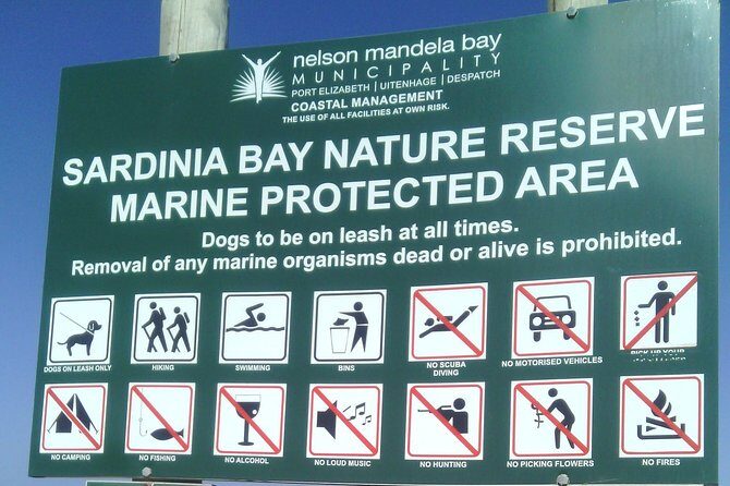 Guided Marine Walk: Sardinia Bay (Marine Protected Area) - 1 & Half Hour - An In-Depth Look at the Itinerary