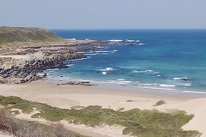 Guided Marine Walk: - Sardinia Bay (Marine Protected Area) - 2 hours - Key Points